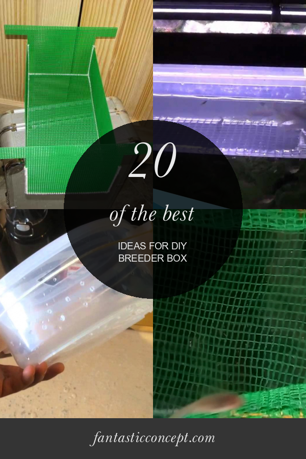 20 Of the Best Ideas for Diy Breeder Box Home, Family, Style and Art